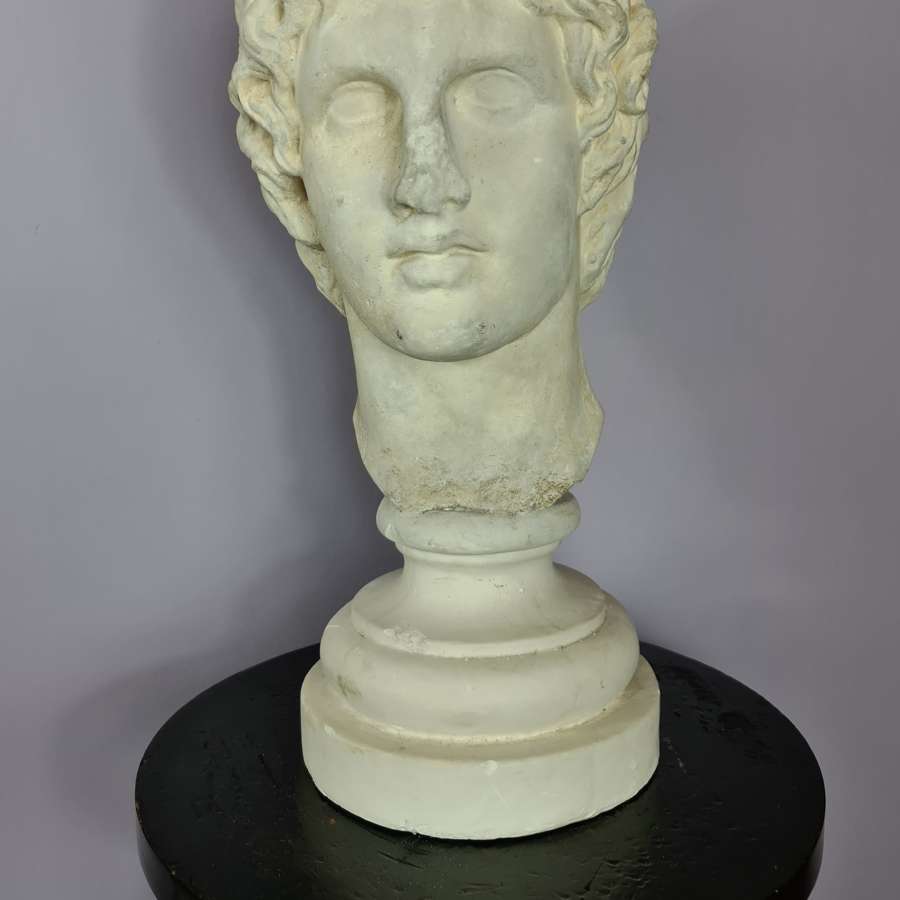 Life size plaster Bust of Alexander