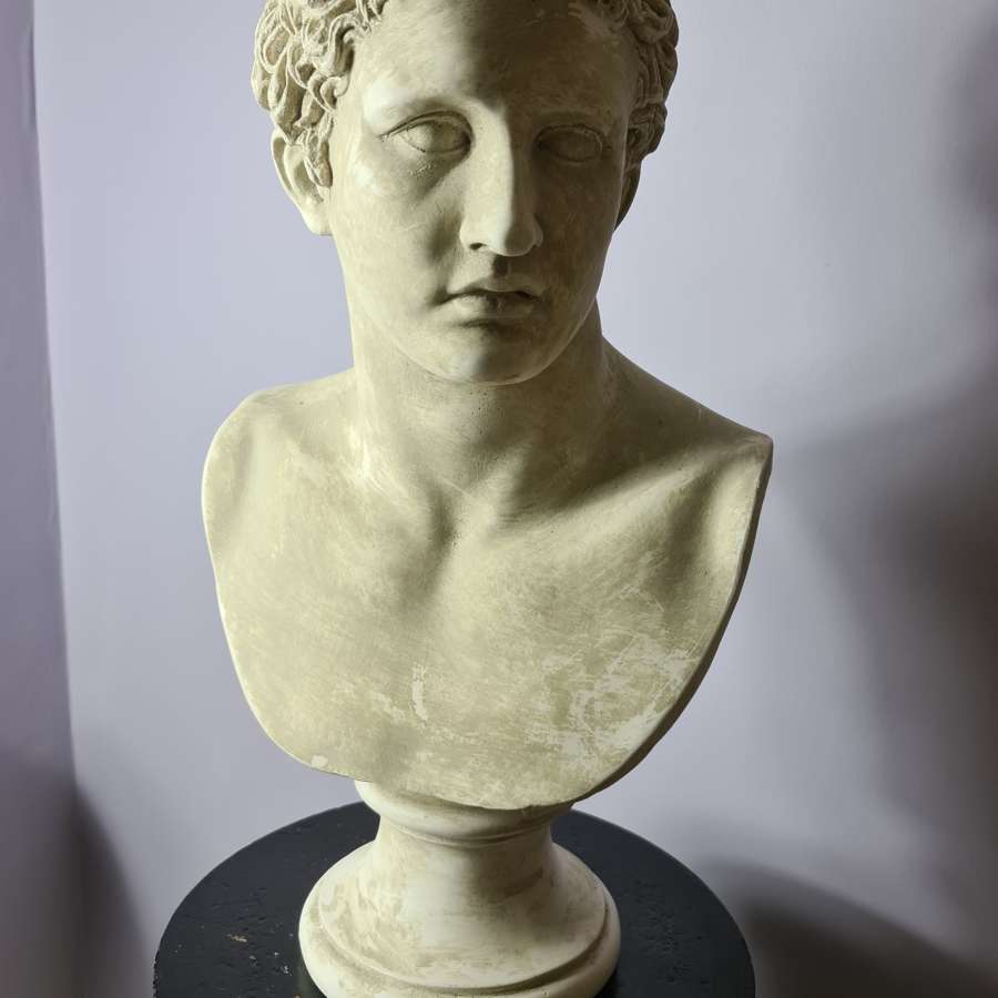 Life Size Plaster Bust of Mark Antony