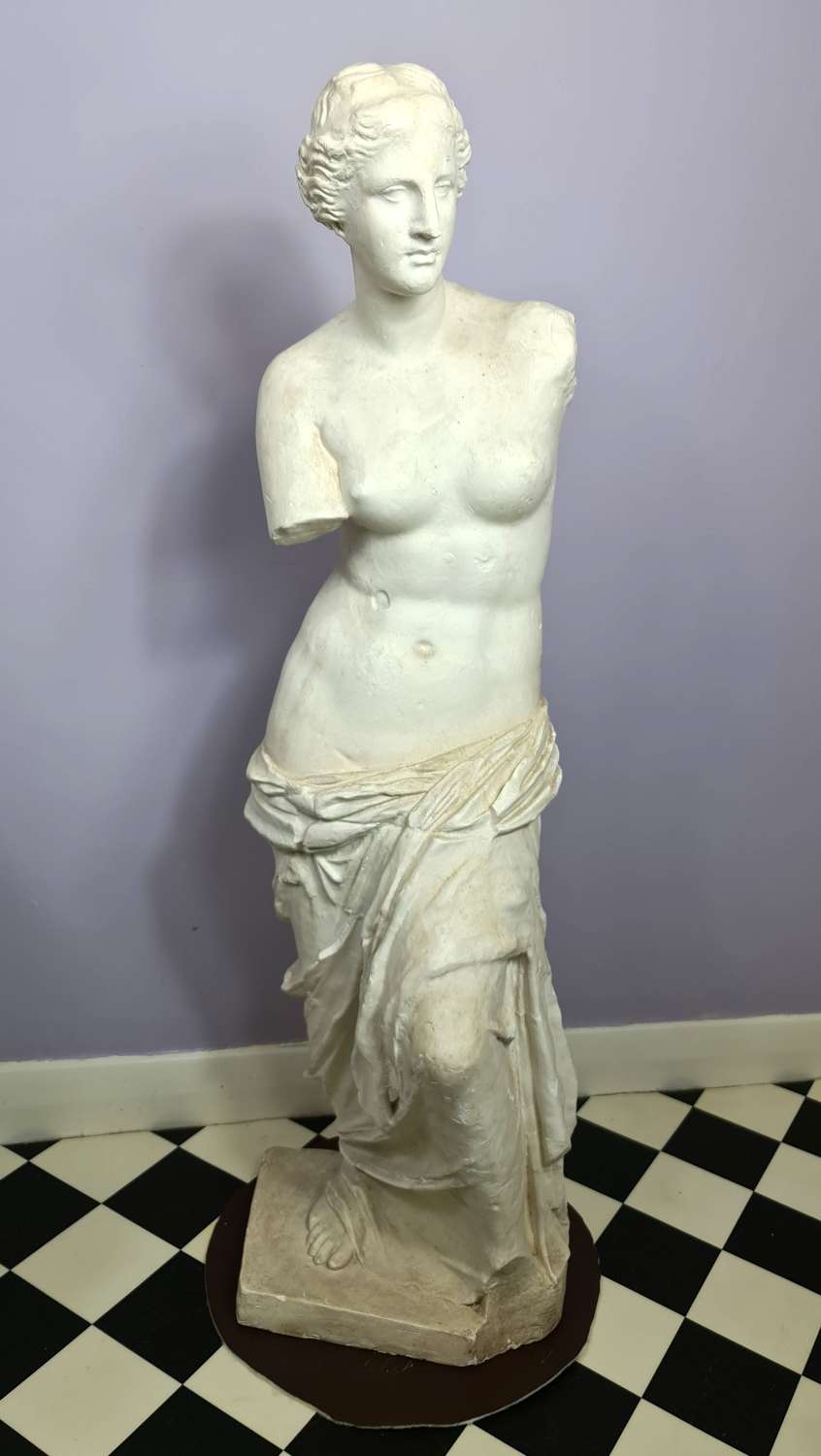 Wonderful Reduced Model of Venus de Milo