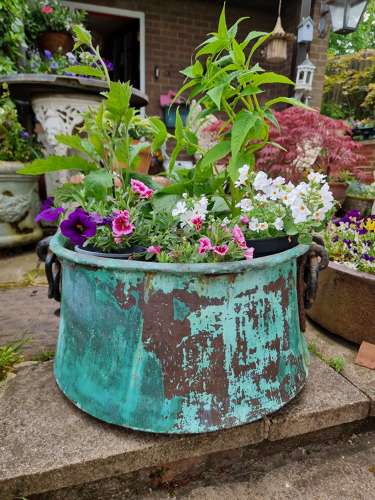Large 19th Century Copper Pot with Verdigris Finish