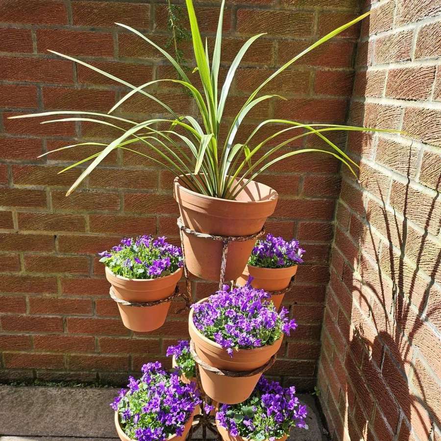 Upright Flower Display for Potted Plants