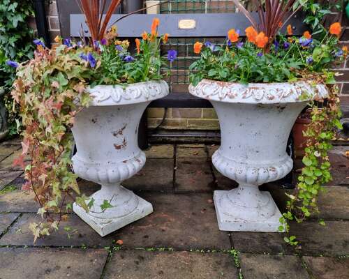Large Pair Tuscan Terracotta Urns